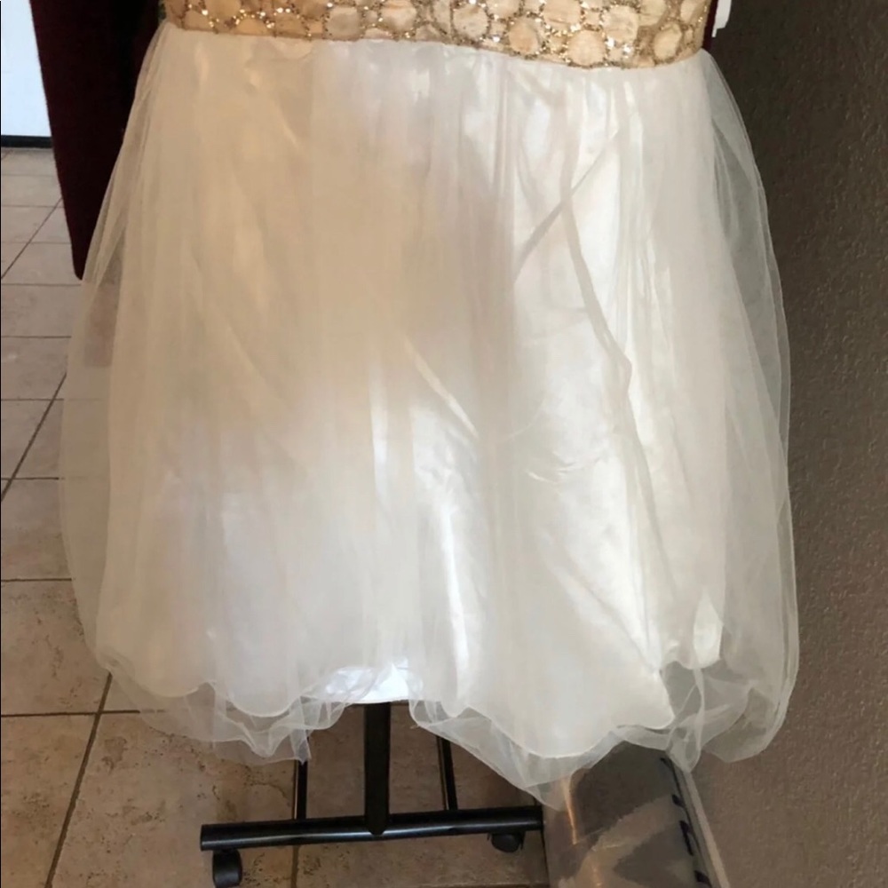 Prom Dress - Picture 5 of 6